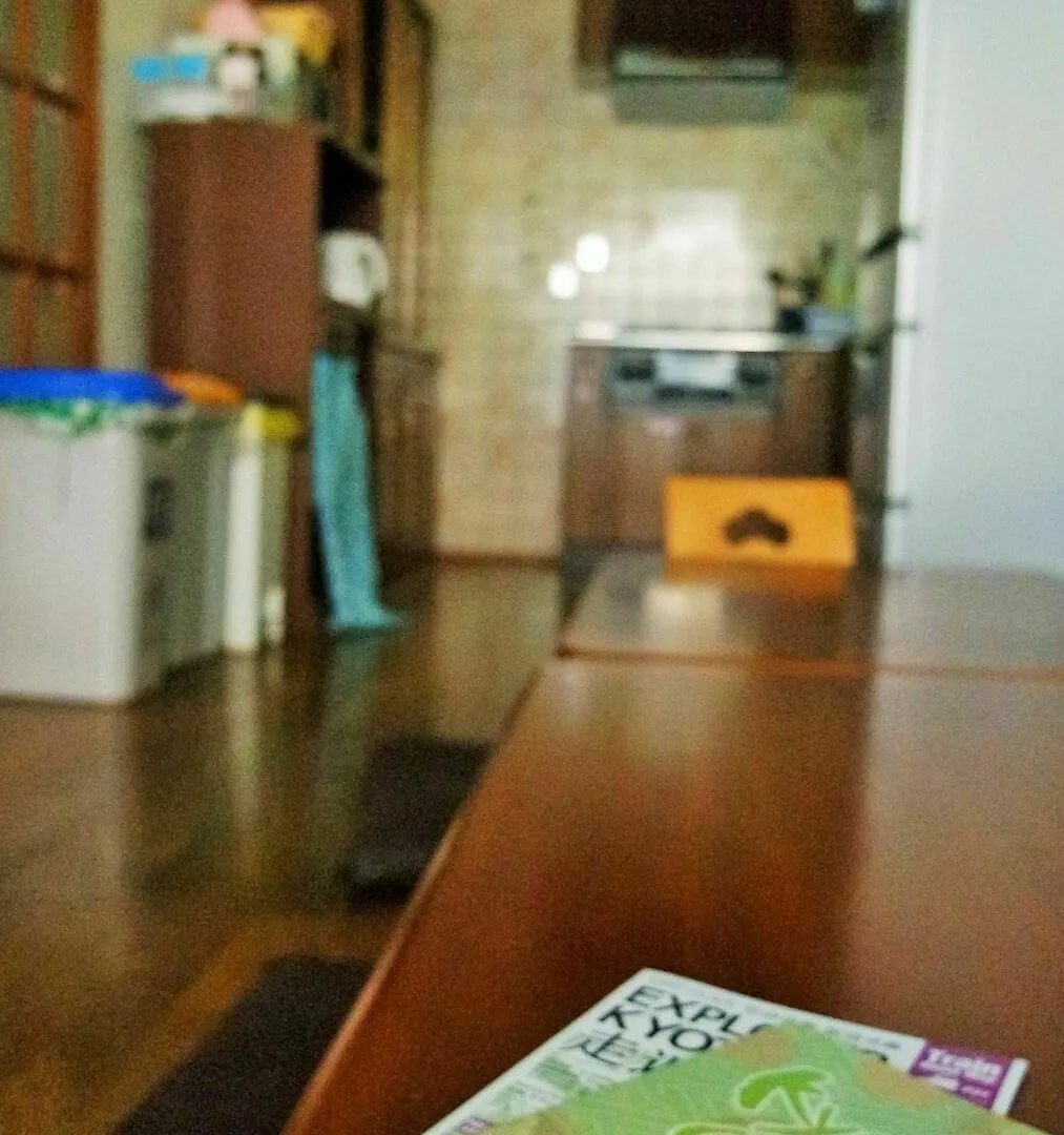 京都市 ぴーすはうす桜ホステル